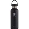 HYDRO FLASK 18 Oz. Standard Mouth Water Bottle With Flex Cap -Shoe Serie Shop 2036976 001 main