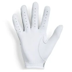 UNDER ARMOUR Men's UA Iso-Chill Golf Glove -Shoe Serie Shop 2060525 004 alt1