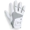 UNDER ARMOUR Men's UA Iso-Chill Golf Glove -Shoe Serie Shop 2060525 004 main